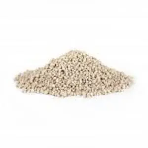 Araw Niébé (copie)